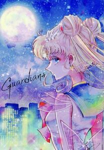  Sailor Moon журнал узкого круга литераторов Full color сборник иллюстраций. ... манга есть 