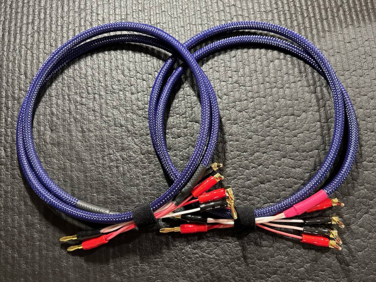 2023年最新】ヤフオク! -バイワイヤリング(家電、AV、カメラ)の中古品