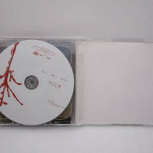 イズミカワソラ CD+DVD 「Scene 1」検索:SORA-4 シーン1 希少品 ジャケットヤケありの画像6
