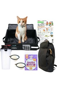  cat therefore. disaster prevention set anywhere cat toilet & evacuation hour keep thing check list attaching -[ cat disaster ground . pcs manner large rain . rain evacuation urgent non usually cat 