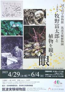 『牧野富太郎』と植物を観る眼＊＊＊A4チラシ・ちらし…１枚【筑波実験植物園】