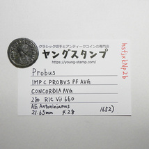 【古代ローマコイン】Probus（プロブス）クリーニング済 ブロンズコイン 銅貨 アントニニアヌス(hsfjxkNp2b)_画像10