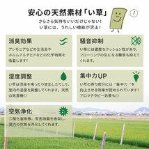 い草 上敷き 撥水加工付き 「備前（びぜん）」やわらかく畳になじみやすい双目織 江戸間4畳（約174X352cm）(い草ラグ い草マット)_画像4