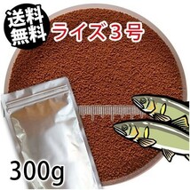 287-02-027 ◆アルミ◆日清丸紅飼料ライズ3号(沈下性)300g ※メール便　金魚小屋-希-福岡_画像1