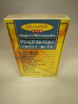 060-0010 送料無料【カセットテープ】スーパーカラオケ　ドリームズ・カム・トゥルー/小泉今日子/橘いずみ　全12曲　新品未使用_画像1