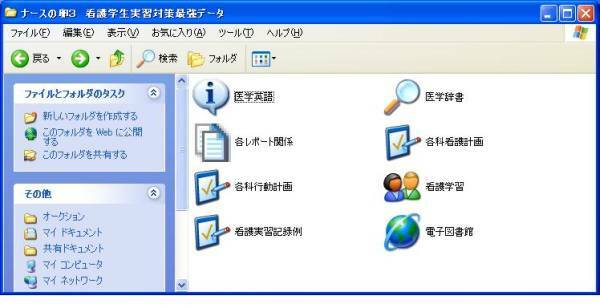 送料込♭看護学生の実習対策最強データ♭卵ダウンロード版