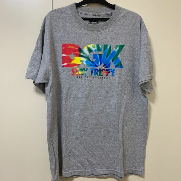 DGK　ディージーケー　Tシャツ　グレー　デカロゴ　ヒップホップ　スケボー　アウトドア　ステッパー　岩田剛典　ニルヴァーナ　図鑑