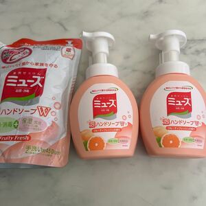 薬用ミューズハンドソープ 本体250ml×2本　詰め替え385ml