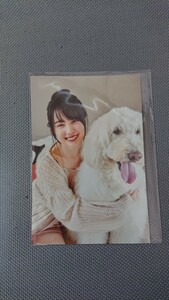 WHITE graph 010 乃木坂46 賀喜遥香 封入特典 ポストカード①