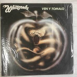 WHITESNAKE COME AND GET IT アルゼンチン盤 PROMO