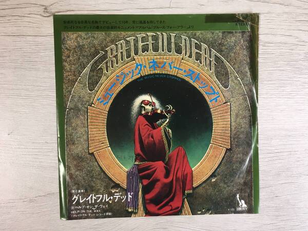 THE GREATFUL DEAD THE MUSIC NEVER STOPPED