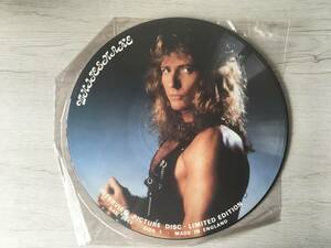 Whitesnake Interview Disc Uk Board Limited Edition