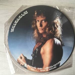 WHITESNAKE INTERVIEW DISC UK盤 LIMITED EDITION