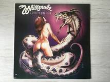 WHITESNAKE LOVEHUNTER US盤_画像1