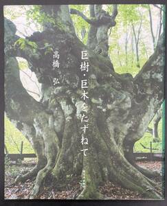 ■初版■巨樹・巨木をたずねて■高橋弘■新日本出版社■状態良好■