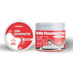 Japan Trust technology cleaning gel case type red JTCLEGLC-RD