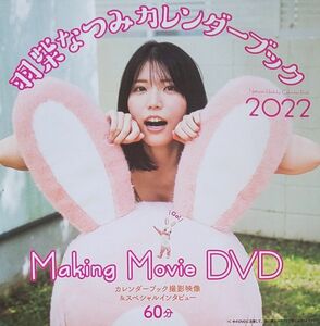 DVD 羽柴なつみ 週刊プレイボーイ 未開封