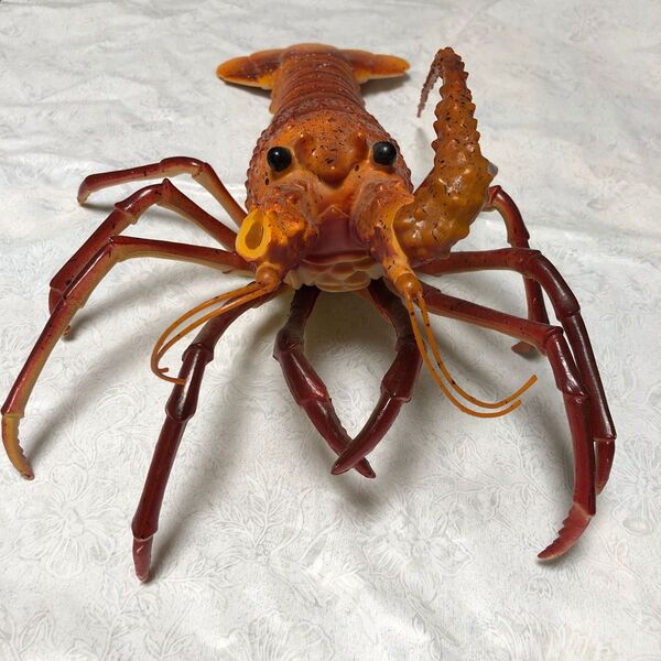 伊勢海老フィギュア ジャンク品 全長40cm