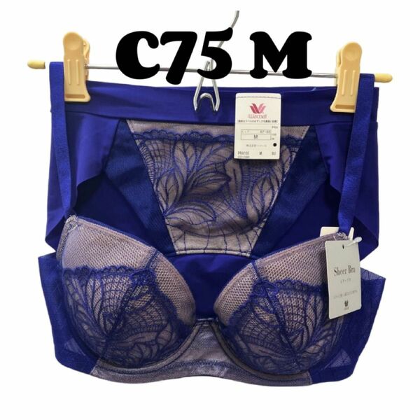 ワコール C75 [Sheer Bra] シアーブラ ブラジャー &ショーツ