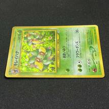 Bellossom 182 Neo Genesis Holo Pokemon Card Japanese ポケモン カード キレイハナ ホロ ポケカ 230625_画像5