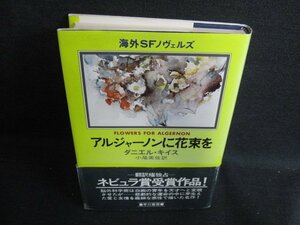 アルジャーノンに花束を　帯破れ有・シミ日焼け有/KCZE