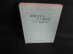 世界文学をどう読むか　ヘッセ　日焼け有/LAA