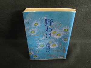 野わけ　渡辺淳一　シミ大・日焼け強/LAE