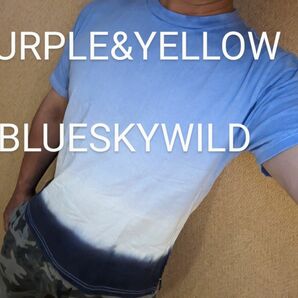 ブルーグラデーションtシャツ ブランド名PURPLE&YELLOWパープルアンドイエローメンズТシャツ