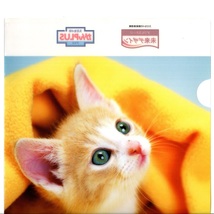 クリアホルダー クリアファイル 子猫 住友生命 A4用紙用 非売品 猫グッズ 猫雑貨 猫柄_画像7