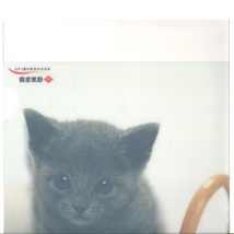 クリアホルダー クリアファイル 子猫 住友生命 A4用紙用 非売品 猫グッズ 猫雑貨 猫柄_画像5