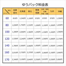 ハタ印 丸型おろし器 イエロー系 ダイキンプラスチック 調理器具 料理道具 キッチン用具 当時物 未使用_画像8