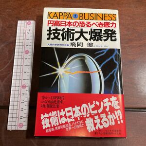 КАРРА BUSINESS 円高日本の恐るべき底力 技術大爆発 飛岡 健とびおかげん