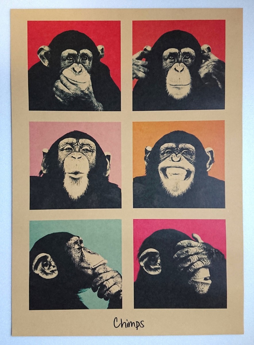 2023年最新】ヤフオク! -ポスター チンパンジーの中古品・新品・未使用
