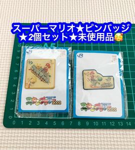 送料無料)未使用 スーパーマリオ サンシャイン キャラクタ ピンバッジ PINS ピンズ ★2個セット★