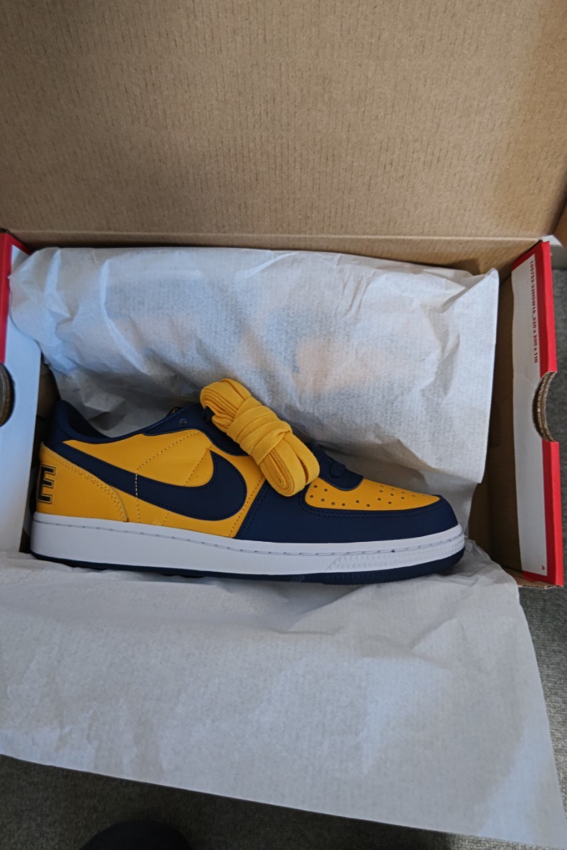 Nike Terminator Low University Gold and Navy/Michigan 28cm FJ4206