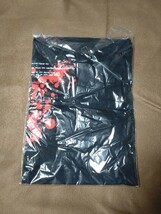 未使用 此花2〜届かないレクイエム〜 トートバッグ ＆ Tシャツ PS2_画像5