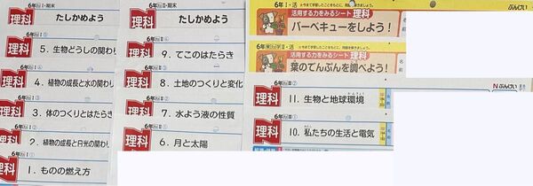 最新版 小学校 5年 理科 カラーテスト