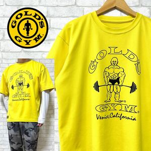 GOLD GYM ゴールドジム ビッグロゴ DRY Tシャツ