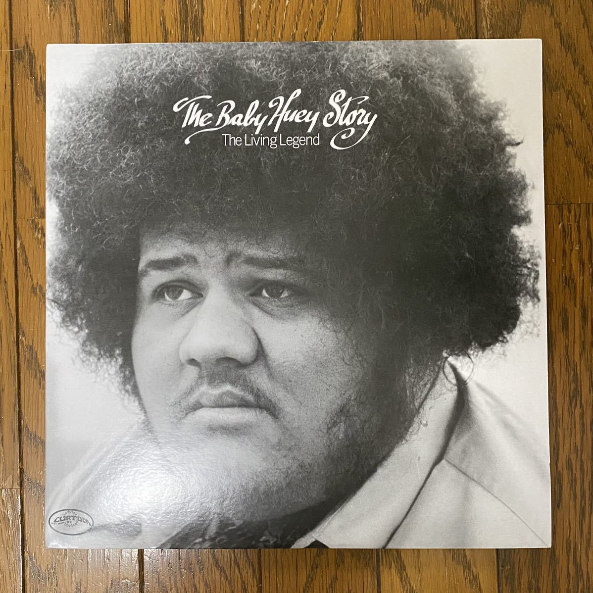 ヤフオク! -「baby huey」(レコード) の落札相場・落札価格