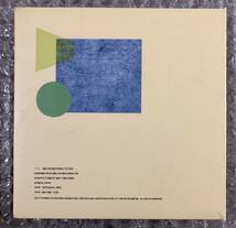 17s Tim DeluxeThe Radicle 国内盤 + 紙ジャケット ボーナスMIX-CD 帯付 OBI Electronic Jazzy House Deep House Downtempo Jazzy_画像3