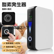 新入荷☆【酸素＋霧化＋マイナスイオン】酸素発生器 酸素吸入器 酸素濃縮機 高濃度酸素 家庭用 車載用酸素流量1L/min 24時間連続稼働_画像1