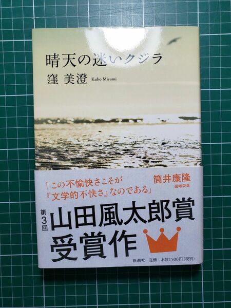 晴天の迷いクジラ 窪美澄／〔著〕