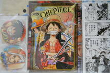 ONE PIECE ルフィ＆ヤマト コンビセット トートバッグ クリアファイル バッジ 一番くじ エモーショナルストーリーズ 両翼決戦 ワンピース_画像5