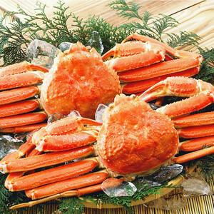 【2点で送料無料】ボイルズワイガニ 姿 約650g×2尾入 計1.3kg 冷凍 ずわい蟹