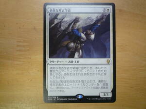 MTG　DOM　勇敢な考古学者/Daring Archaeologist　日本語　1枚