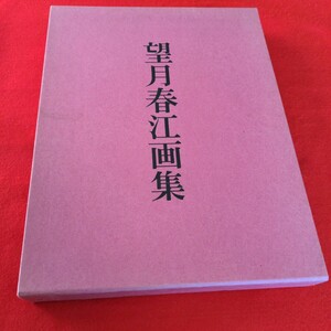 望月春江画集 限600 定価45000円日経新聞 昭54 図版114点 豪華大型本　切り取られたページや絵が剥がされているページ多数あり　ジャンク