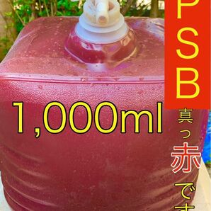 【PSB真っ赤です。】　小分け1000ml 光合成細菌