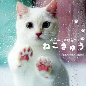 写真集　ねこきゅう ぷにぷに肉球まつり／小川晃代,湯沢祐介