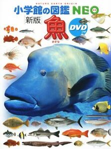 魚 （小学館の図鑑ＮＥＯ　４） （新版） 井田齊／監修・執筆　松浦啓一／監修・執筆　藍澤正宏／ほか指導・執筆　松沢陽士／ほか撮影　近江卓／ほか撮影