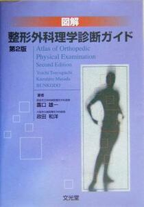 図解　整形外科理学診断ガイド／露口雄一(著者),政田和洋(著者)